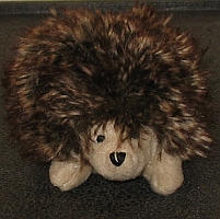 hedgehog