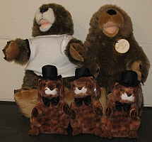 uncle shadow and
crew