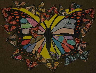 butterfly