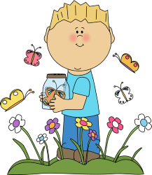 boy with butterflies