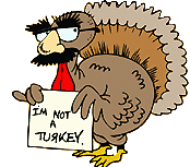 turkey in disguise